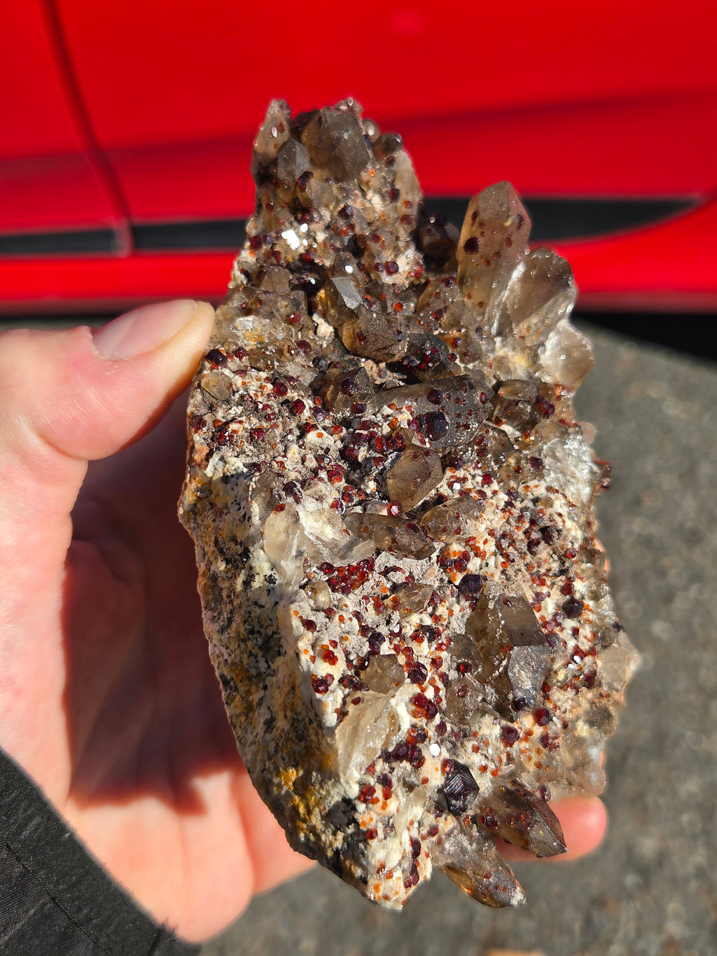 Spécimen de quartz fumé avec grenats---> chine