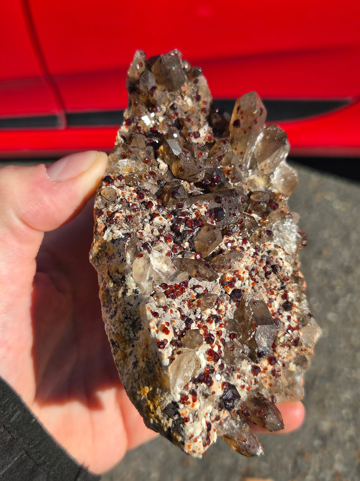 Spécimen de quartz fumé avec grenats---> chine