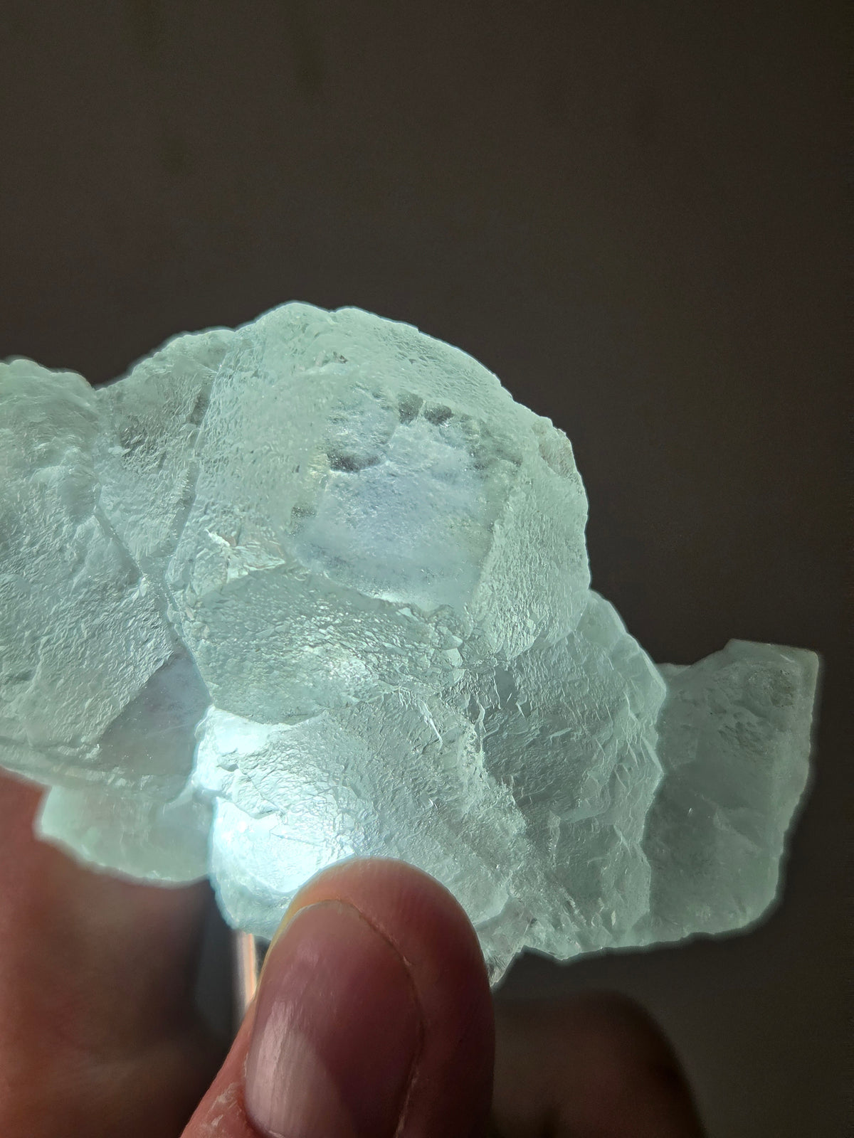 Fluorite bleu du mexique