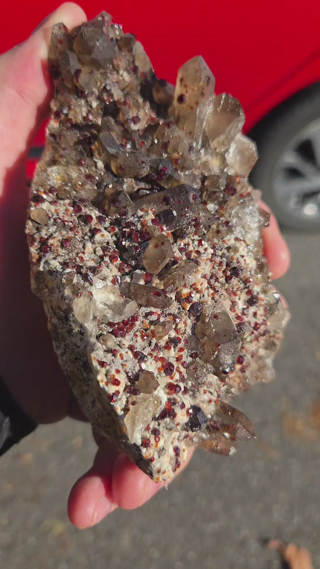 Spécimen de quartz fumé avec grenats---> chine