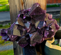 Fluorite violette ( Uv réaction )