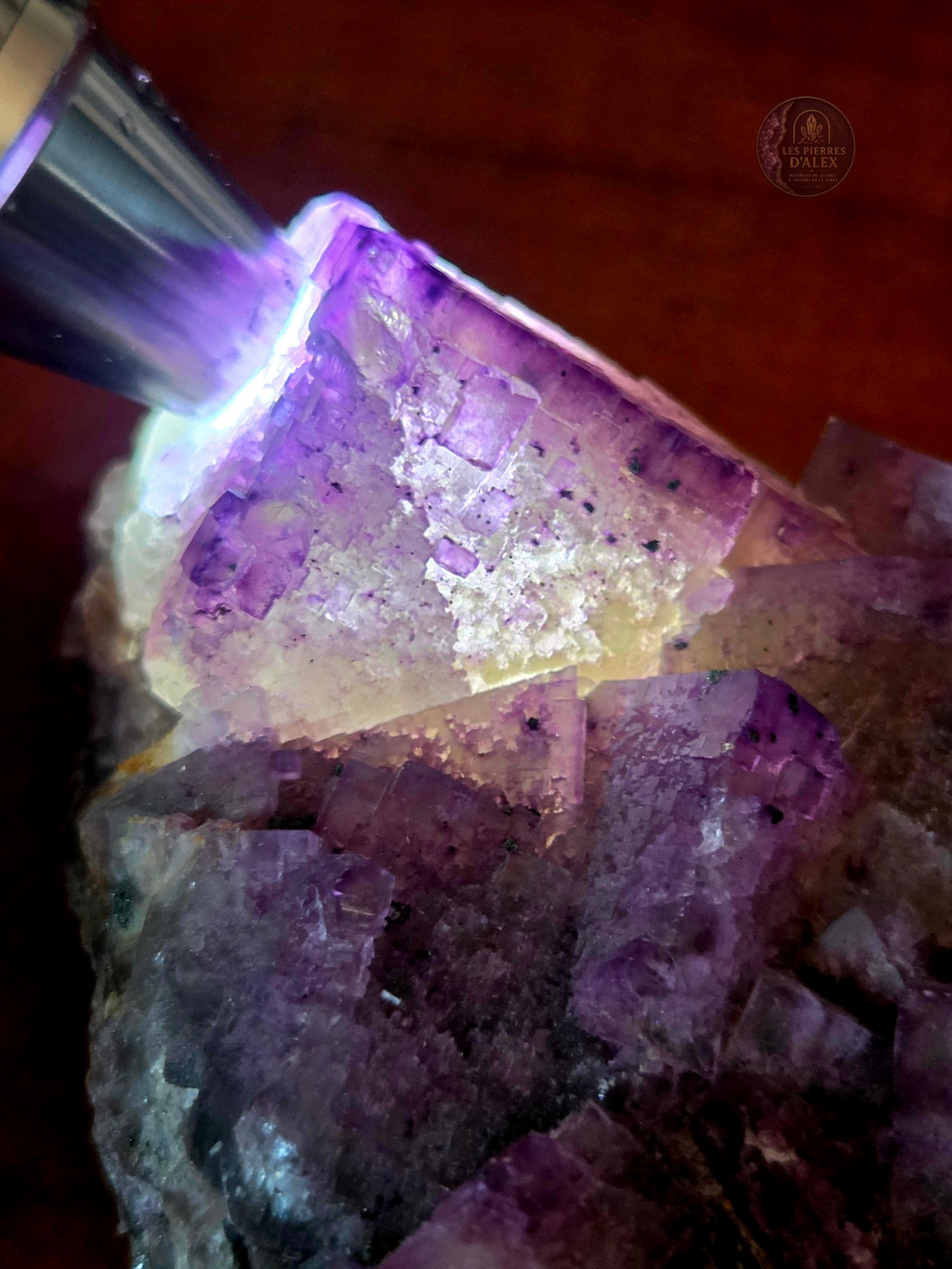 Fluorite mauve ( Uv réaction )
