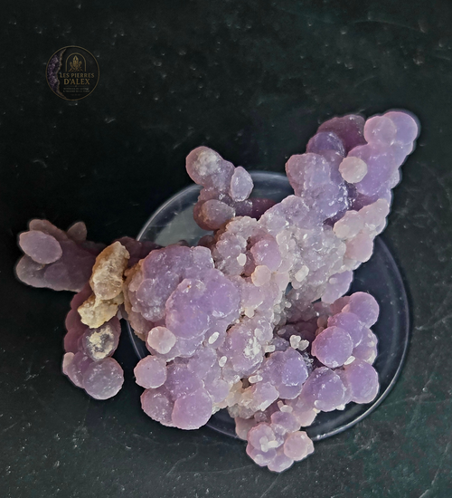 Agate raisin ( Calcedoine indonésie )