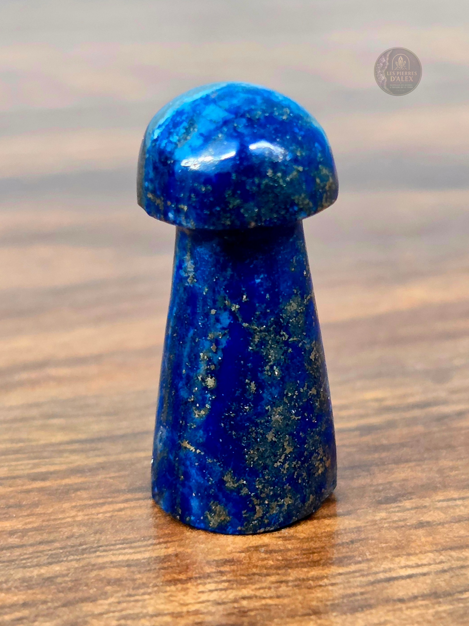 Champignon lapis lazulis