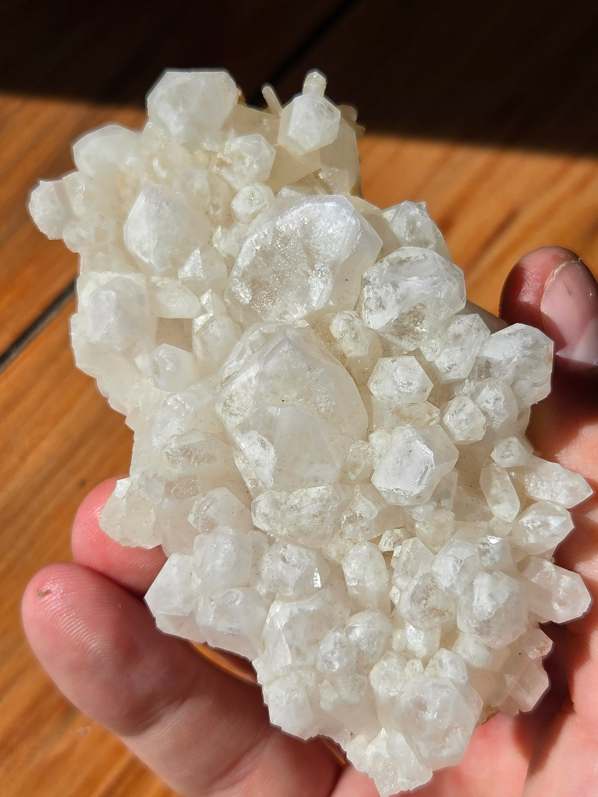 Quartz « bone » mine Pattys Prize Pocket, près de Hope (Colombie-Britannique) × 1