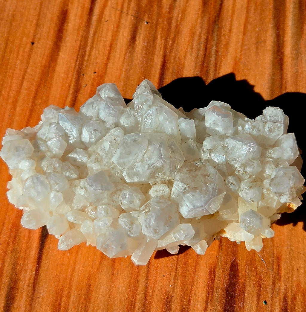 Quartz « bone » mine Pattys Prize Pocket, près de Hope (Colombie-Britannique) × 1