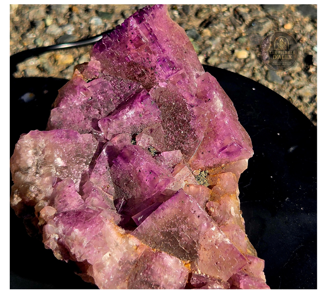 Fluorite mauve ( Uv réaction )