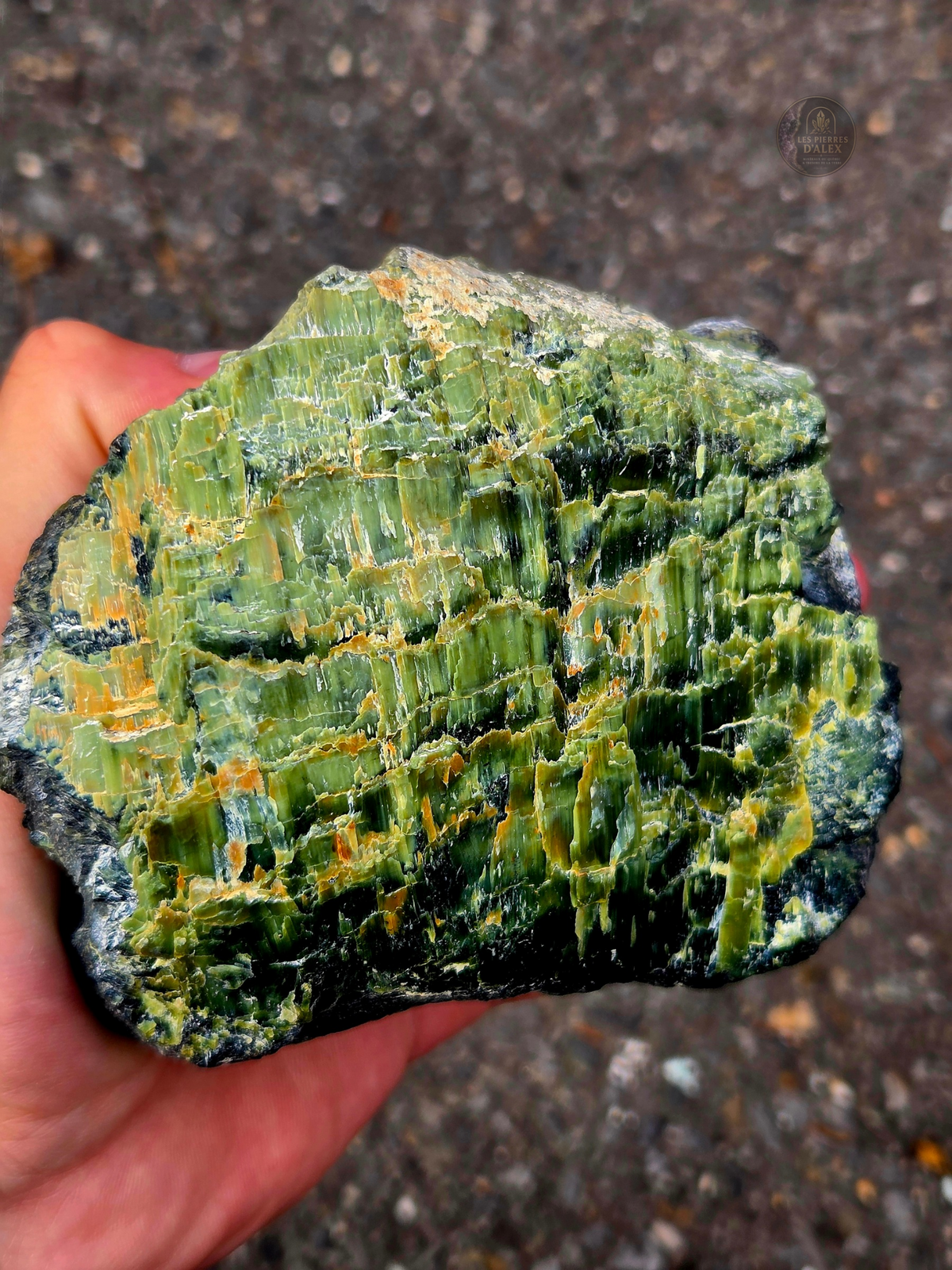 spécimen naturel de serpentine riche en antigorite