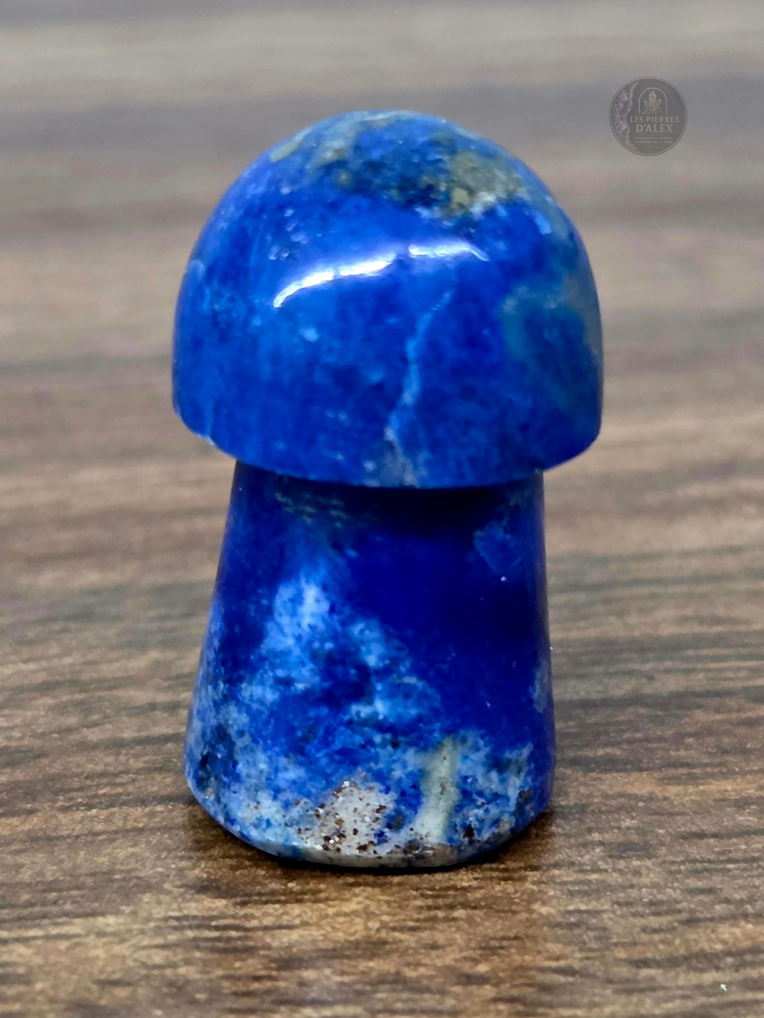 Champignon lapis lazulis