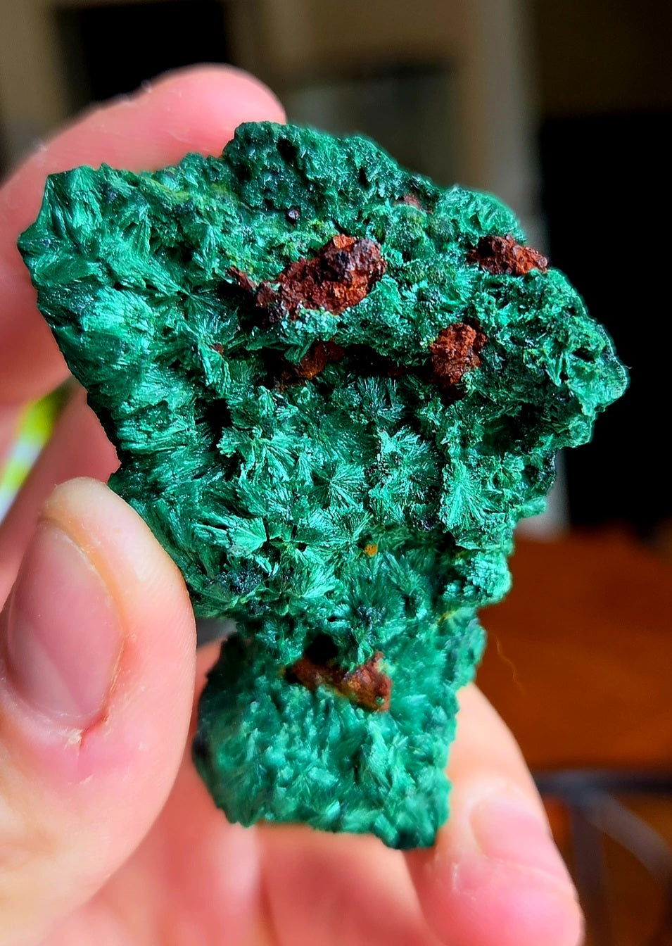 Malachite du congo