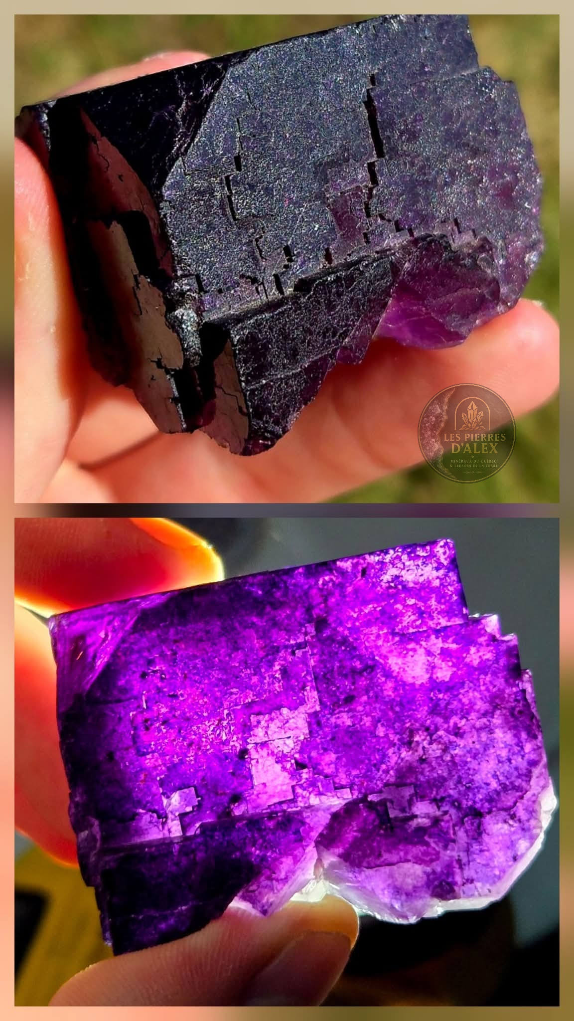 Fluorite mauve de chine
