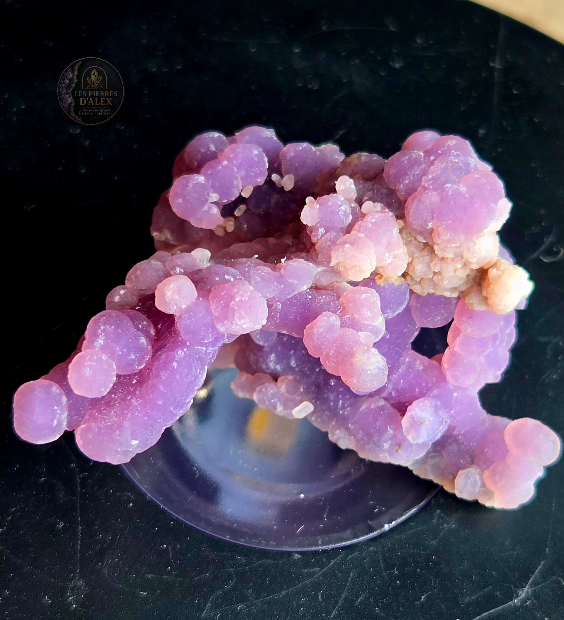Agate raisin ( Calcedoine indonésie )