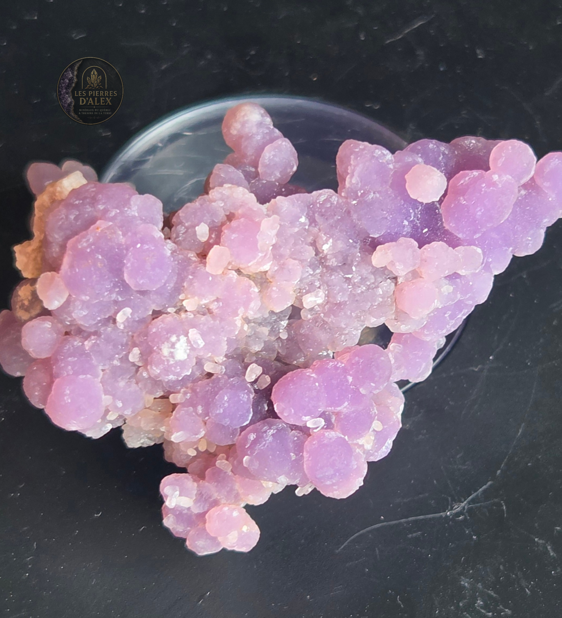 Agate raisin ( Calcedoine indonésie )