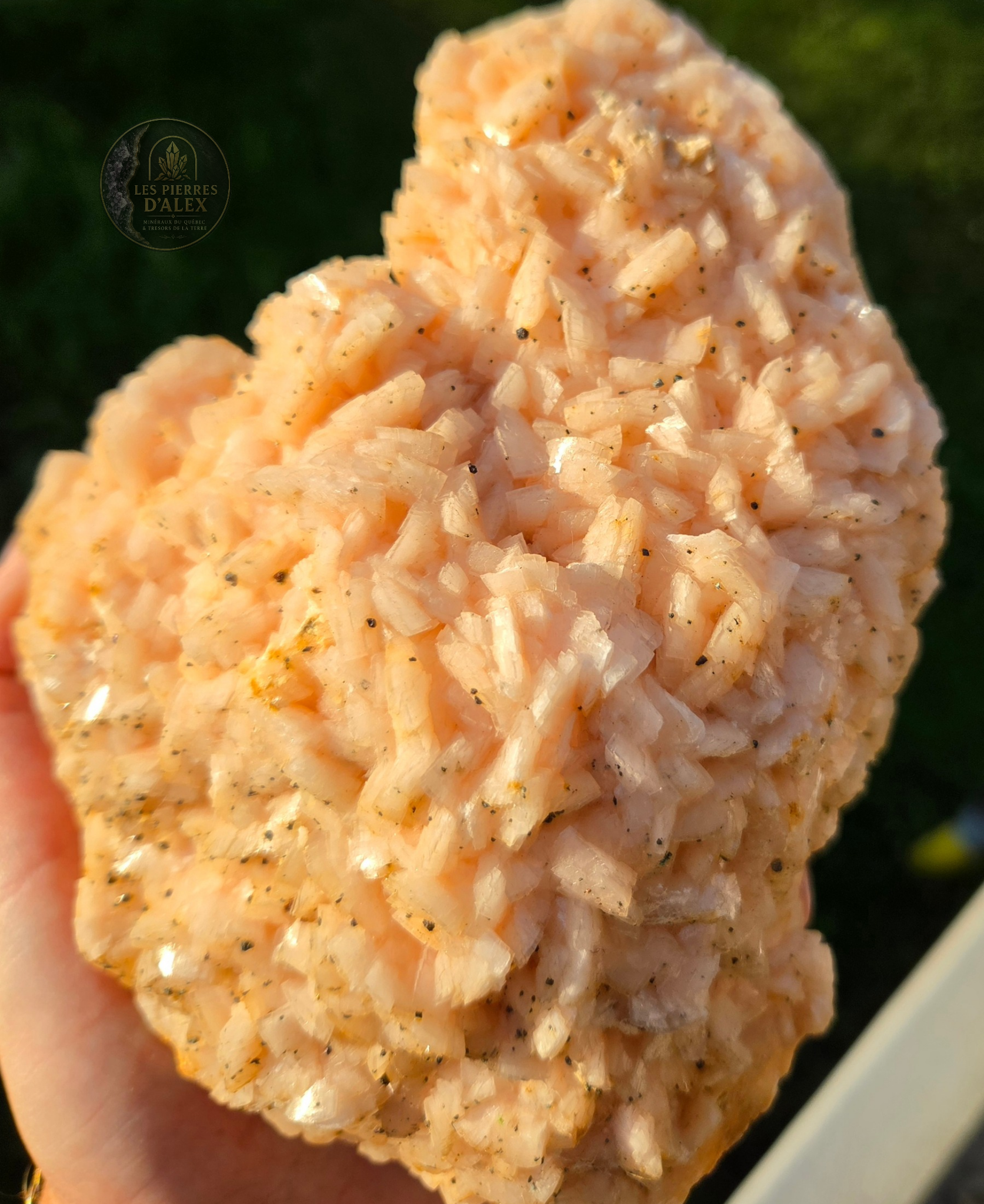 Dolomite rose naturelle