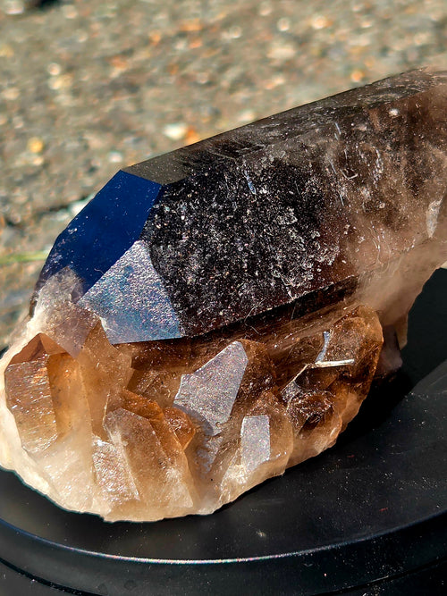 Cluster de Quartz Fumé Naturel