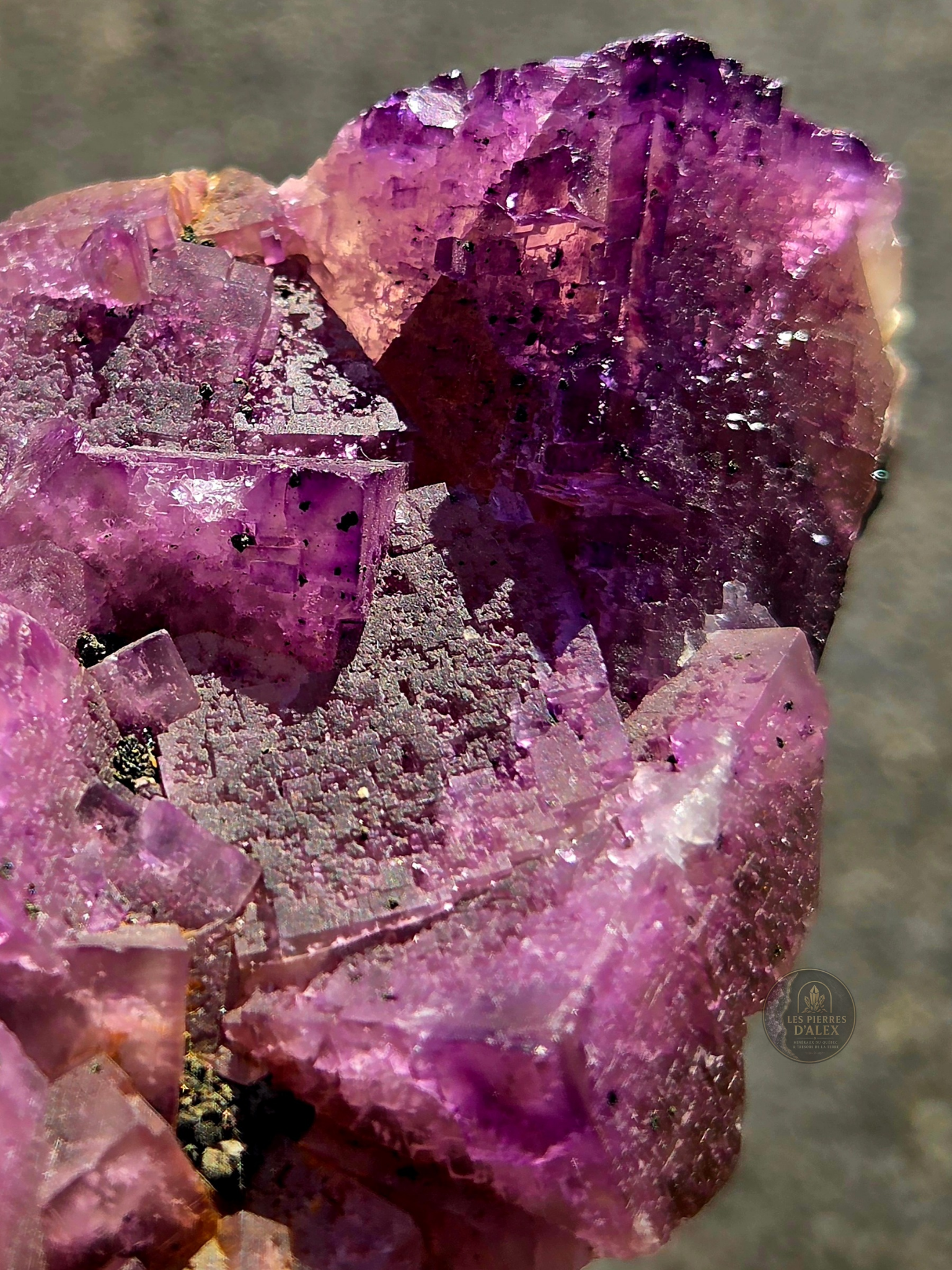 Fluorite mauve ( Uv réaction )
