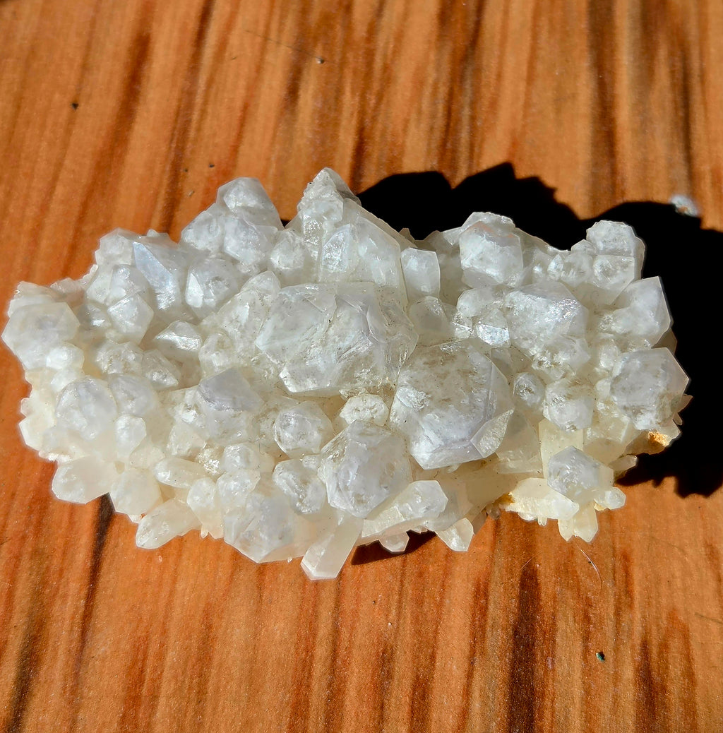 Quartz « bone » mine Pattys Prize Pocket, près de Hope (Colombie-Britannique) × 1