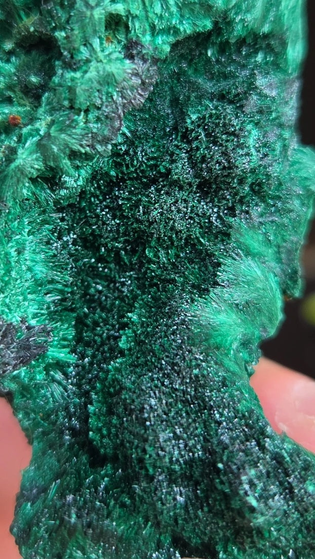 Malachite du congo