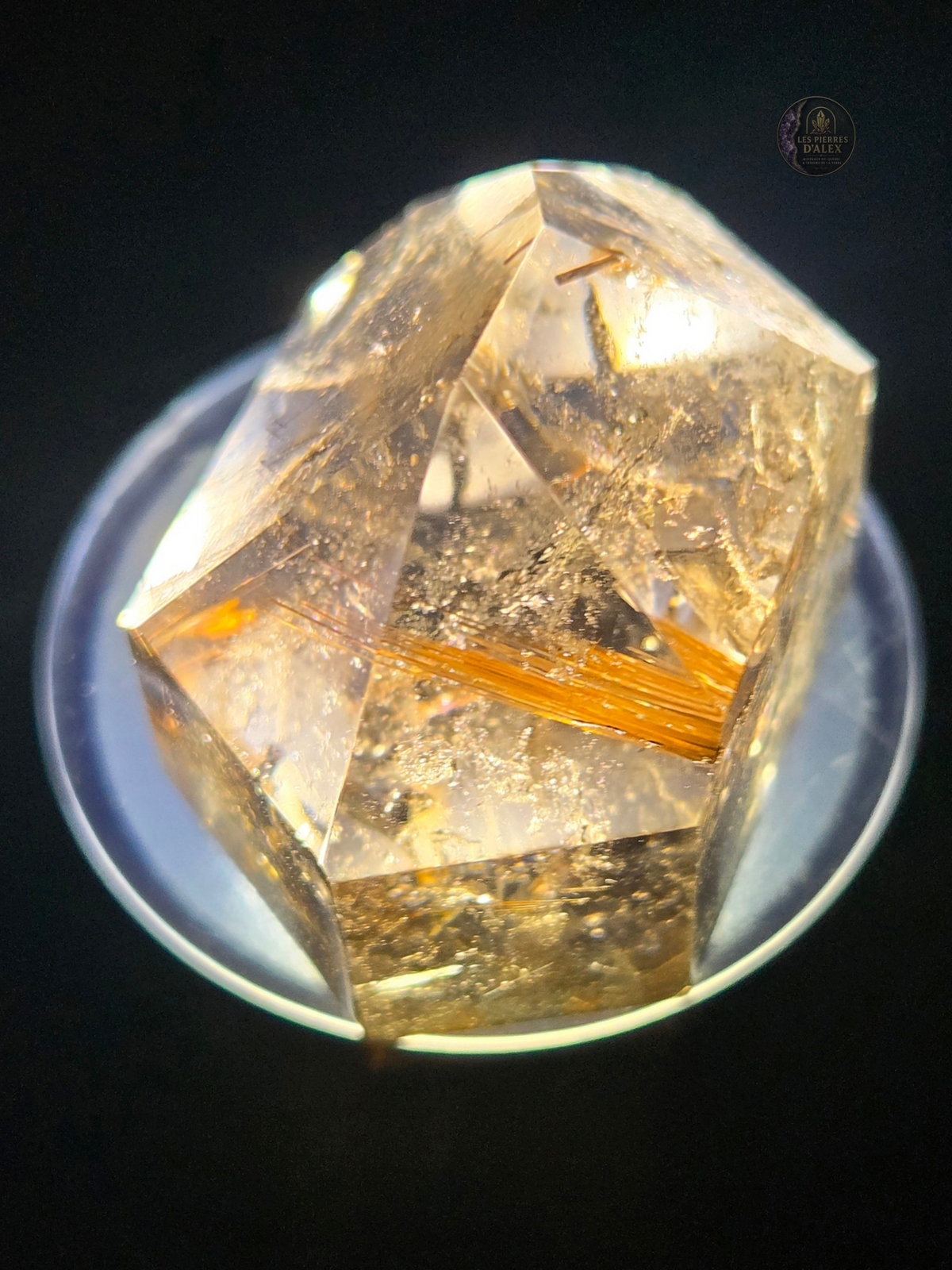 Rutile dans du Cristal de Quartz
