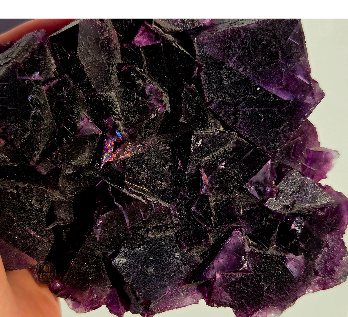 Fluorite violette ( Uv réaction )