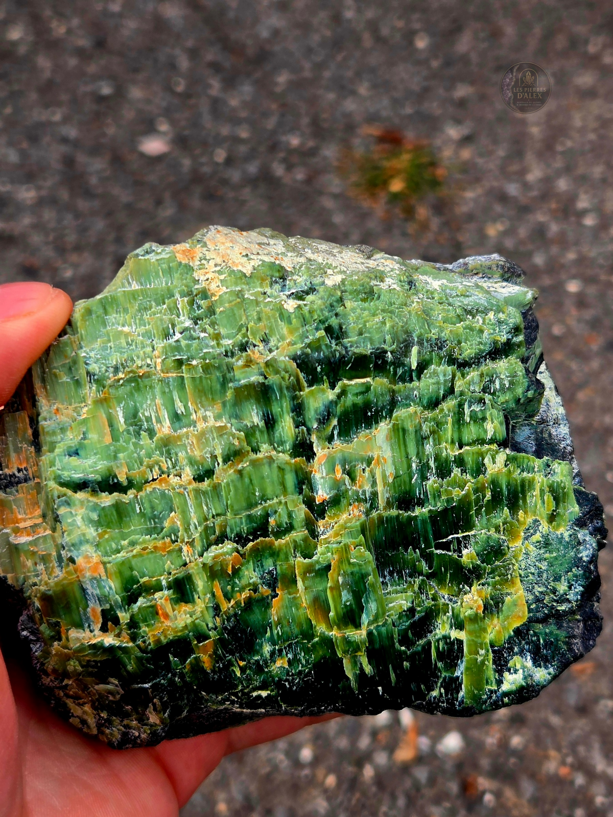 spécimen naturel de serpentine riche en antigorite