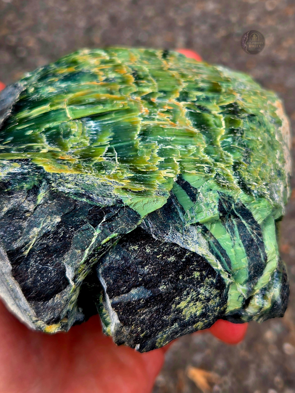 spécimen naturel de serpentine riche en antigorite